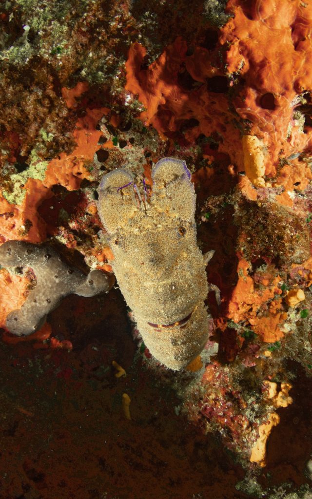 The UW Car Graveyard