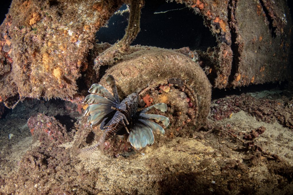 The UW Car Graveyard